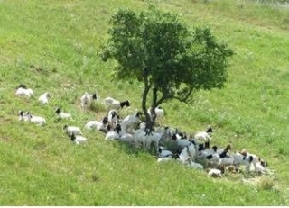  naturaleza rural 